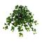 24" UV Resistant Artificial Puff Ivy Hanging Plant (Indoor/Outdoor) - Set of 3